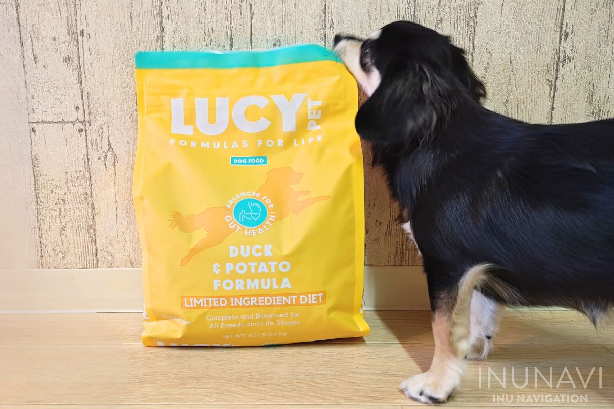 ルーシーペットフード(LUCY PET FOODS)の口コミ評判｜原材料や成分を専門家が評価